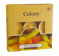 Аромосвечи чайные средняя Wax Lyrical коллекция Colony Спелый манго
