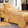 Постельное белье 2-спальное (стандарт) Primavelle тенсель дизайн Иония (с наволочками 70x70)