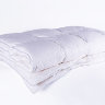 Одеяло 2-спальное (King Size) зимнее пуховое касетное Nature's Воздушный вальс 220x240