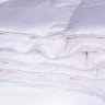 Одеяло 2-спальное (евро) всесезонное пуховое касетное Nature's Воздушный вальс 200x220