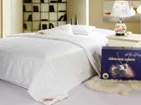 Одеяло 2-спальное (евро) шелковое Silk Place легкое 200x220 (1000 г)