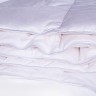 Одеяло 2-спальное (евро) зимнее пуховое касетное Nature's Воздушный вальс 200x220