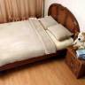 Одеяло 1,5-спальное Magic Wool Верблюд Капучино из шерсти верблюда зимнее 140x200