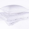 Одеяло 2-спальное (стандарт) Nature's Серебряная мечта всесезонное пуховое 172x205