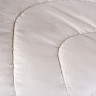 Одеяло 2-спальное (стандарт) Nature's Шерстяной завиток всесезонное шерстяное 172х205