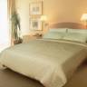 Одеяло 1,5-спальное шелковое Kingsilk Люкс шелк в сатине всесезонное (вес 1000 гр) 160x210
