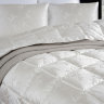 Одеяло 2-спальное (евро) пуховое Primavelle Angelo легкое 200x220
