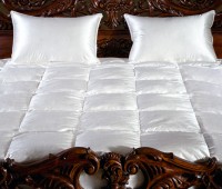 Одеяло 2-спальное (евро) Primavelle Silvia с гусиным пухом в чехле из натурального шелка 200x220