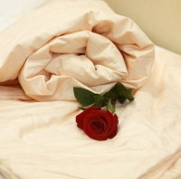 Одеяло 1,5-спальное шелковое Kingsilk Элит легкое (вес 600 гр) 140x205 персиковый