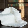 Одеяло 1,5-спальное German Grass Downline коллекция Luxe Down Grass с гусиным пухом легкое 150x200