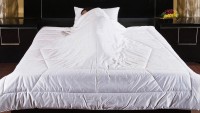 Одеяло 1,5-спальное Feng shui с наполнителем ЭкофайберТМ 140x205 
