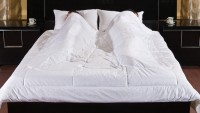 Одеяло 2-спальное (стандарт) Feng shui с наполнителем ЭкофайберТМ 172х205