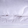 Одеяло 2-спальное (стандарт) Nature's Хлопковая нега легкое 172х205
