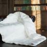 Одеяло 1,5-спальное German Grass Downline коллекция Luxe Down Grass с гусиным пухом 150x200