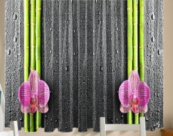 Bambuk-kuh.jpg